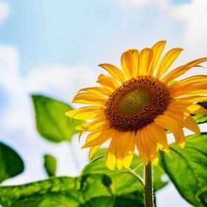 Meet your Posher, Janeen